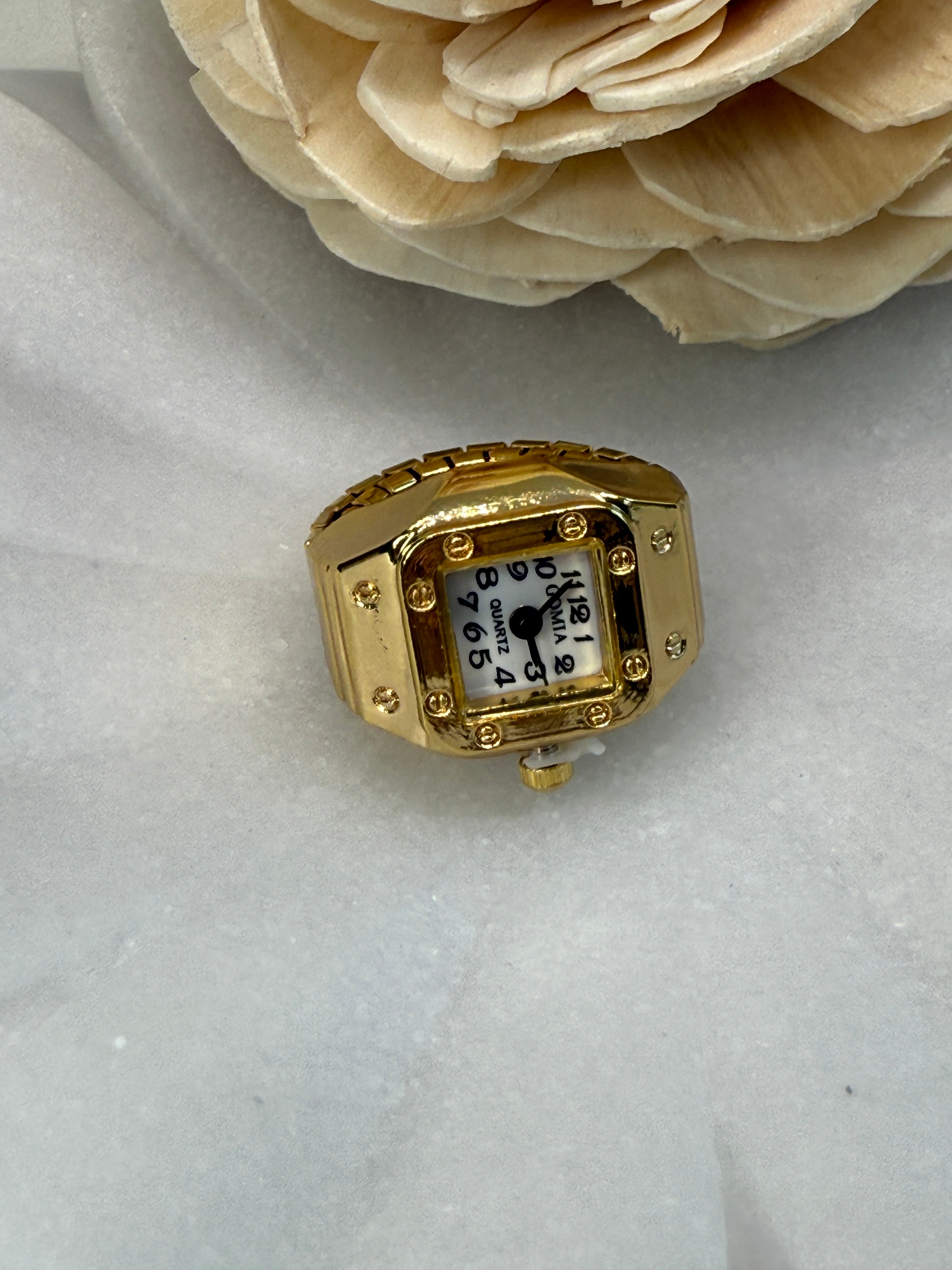 Stainless Steel Ring-Shaped Watch Design