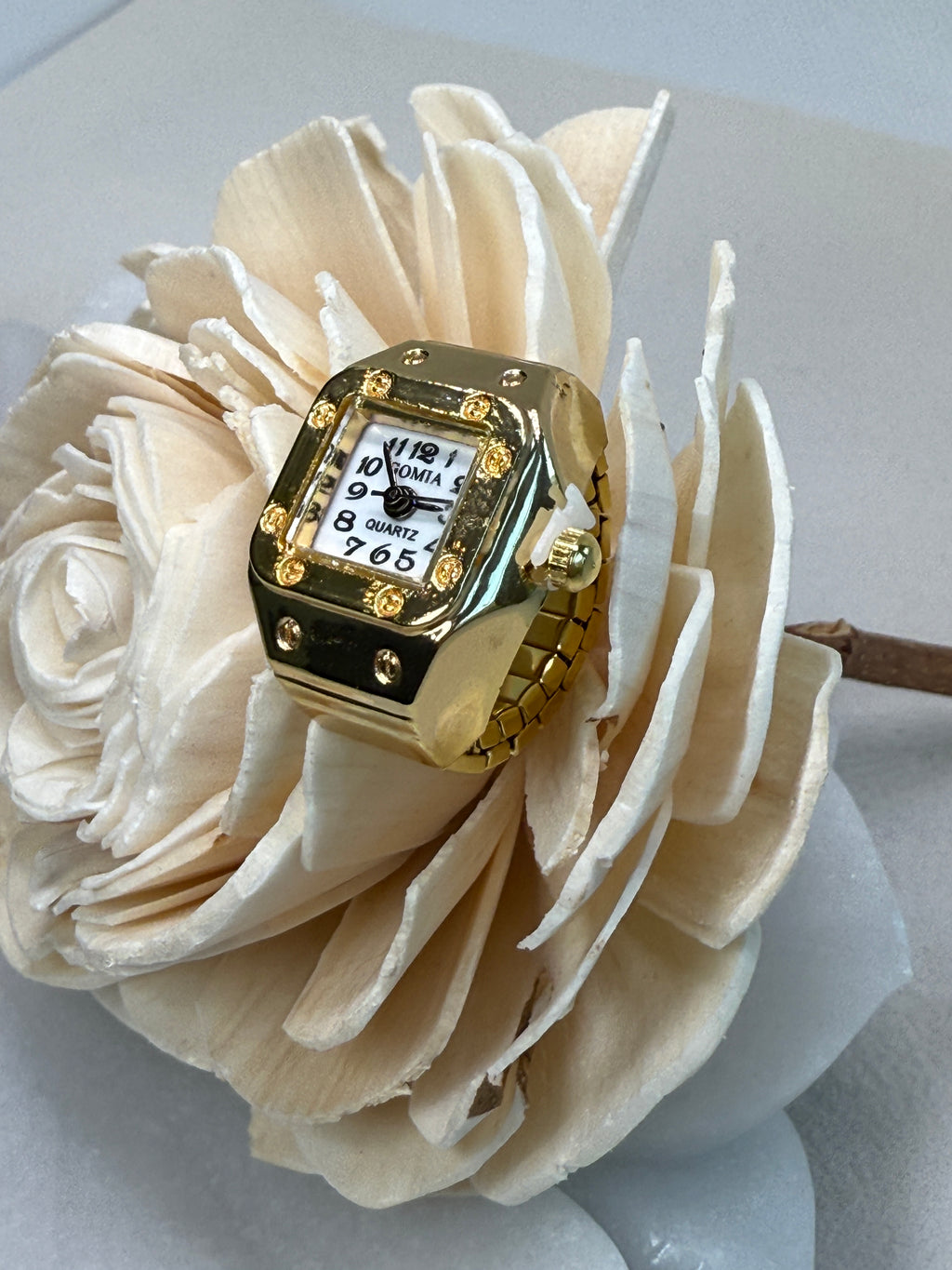 Stainless Steel Ring-Shaped Watch Design
